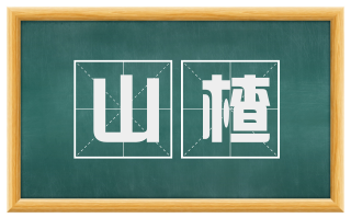山楂