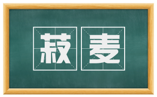 菽麦