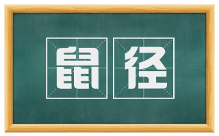 鼠径