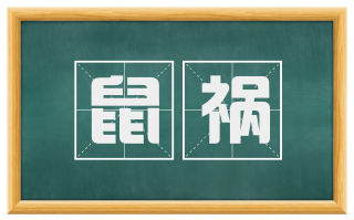 鼠祸