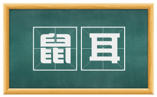 鼠耳