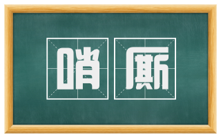 哨厮