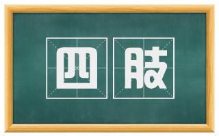 四肢