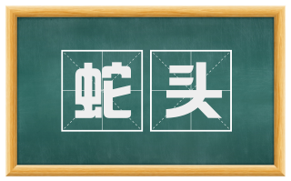 蛇头