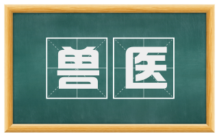 兽医