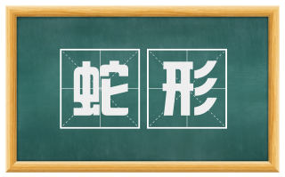 蛇形