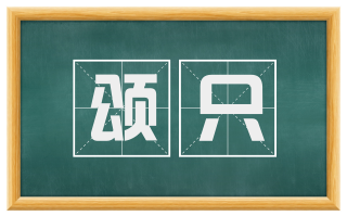 颂只