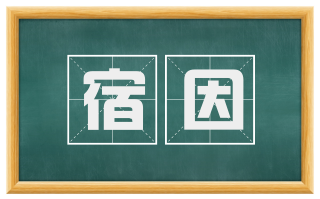 宿因