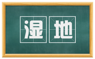 湿地