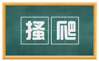 搔爬