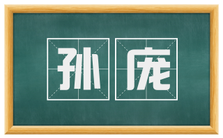 孙庞