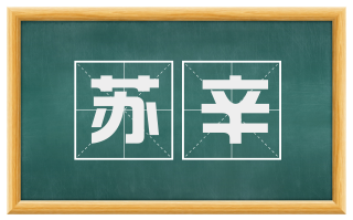 苏辛