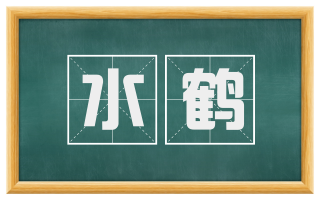 水鹤