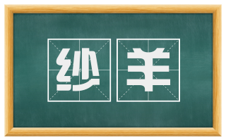 纱羊