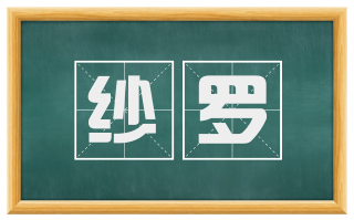纱罗
