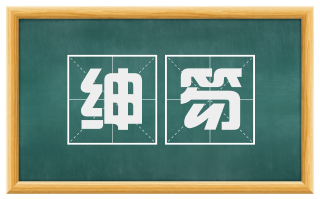 绅笏
