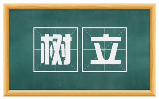 树立