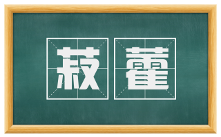 菽藿