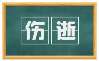 伤逝