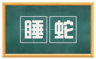 睡蛇