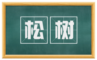 松树