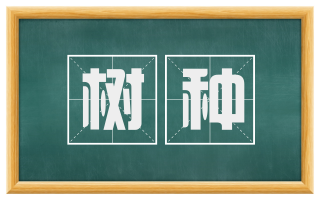 树种