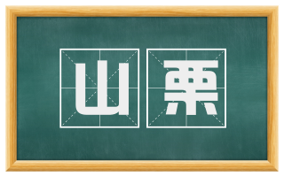 山栗