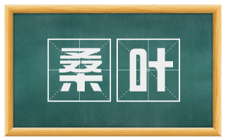 桑叶