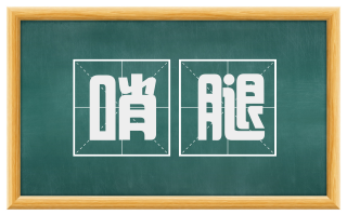 哨腿