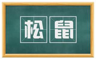 松鼠
