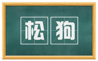 松狗
