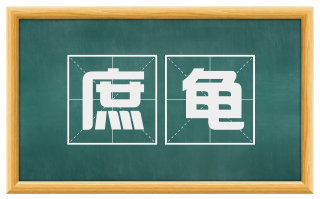 庶龟