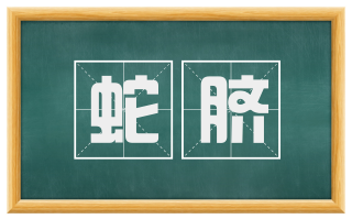 蛇脐