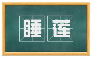 睡莲