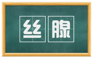 丝腺
