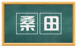 桑田