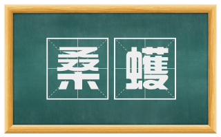 桑蠖