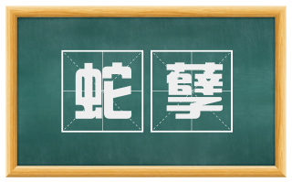 蛇孽