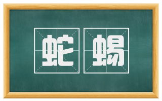 蛇蜴