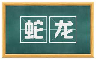 蛇龙