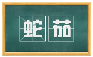 蛇茄