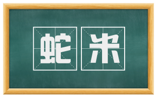 蛇米
