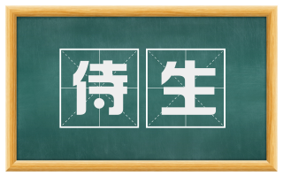 侍生