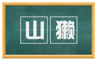 山獭
