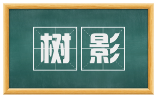 树影