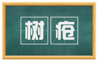 树疮