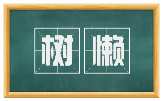 树懒