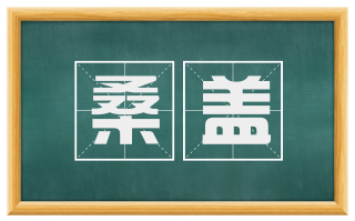 桑盖