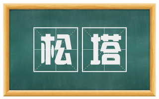 松塔