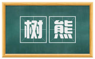 树熊